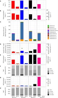 Sea Ice Microbiota in the Antarctic Peninsula Modulates Cloud-Relevant Sea Spray Aerosol Production